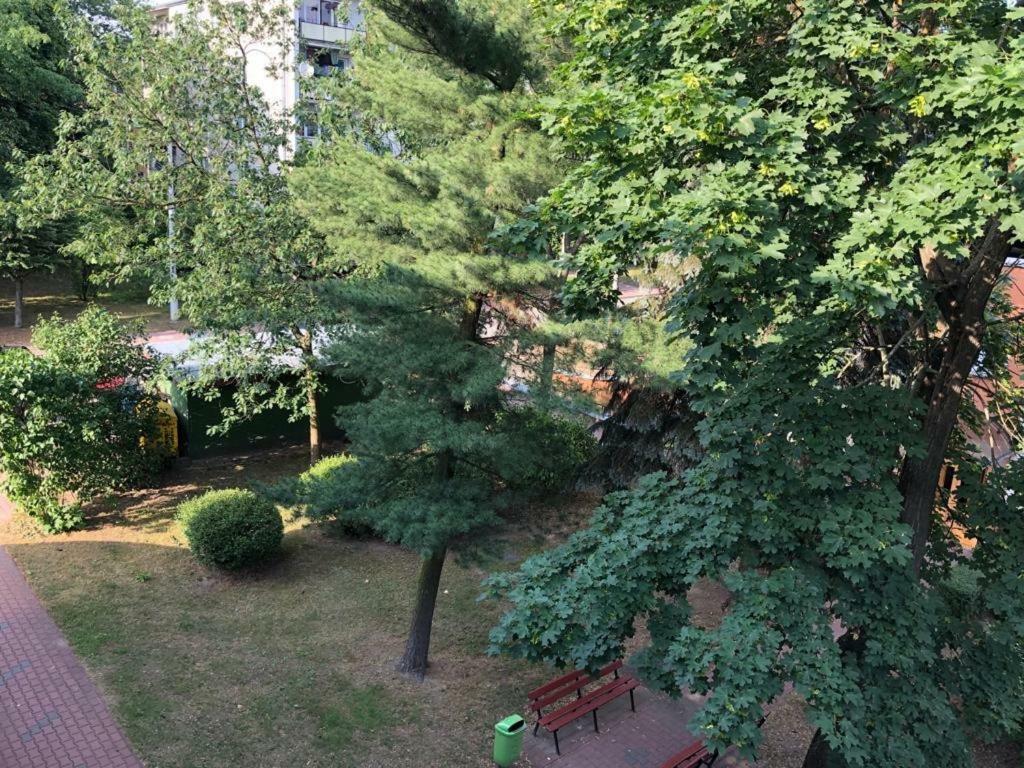 Chrobrego 269 Appartement Biała Podlaska Buitenkant foto